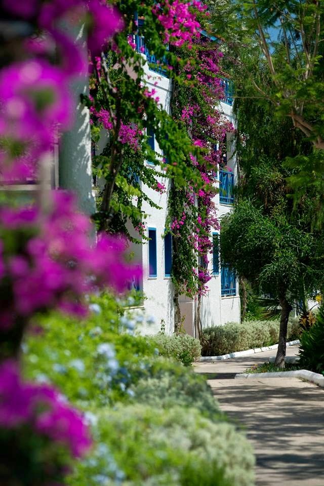 imagini hotel BODRUM HOLIDAY RESORT